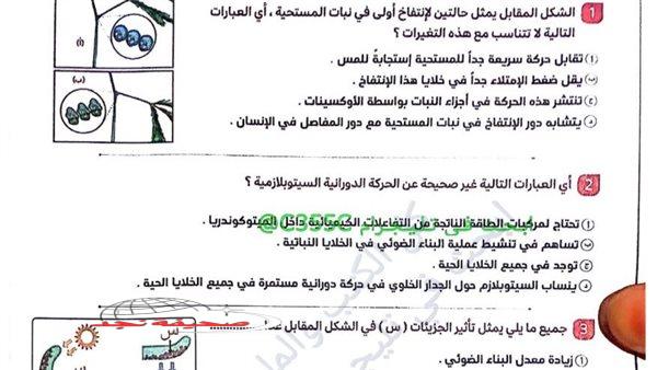 «استعد بذكاء للقمة!»: الثانوية العامة 2025: دليل شامل للنجاح والتفوق