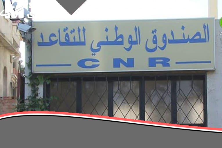 وثائقك كلها جاهزة هنا.. طريقة تجديد الوثائق إلكترونيًا في الصندوق الوطني للتقاعد خطوة واضحة