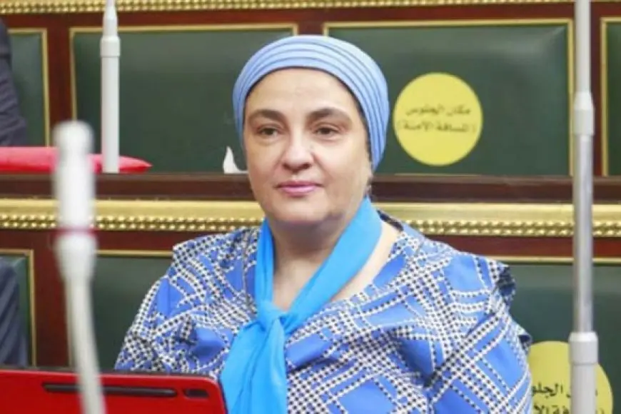 «إنقاذًا للهوية» النائبة سميرة الجزار: محافظات عدة تواجه خطر طمس تاريخها وتراثها