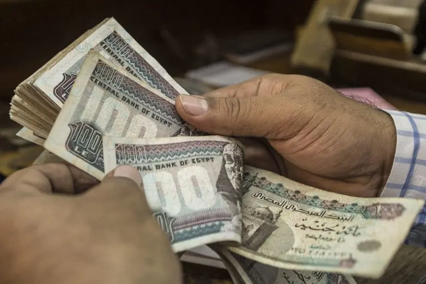 «عاجل!» المالية تعلن توقيت صرف رواتب نوفمبر 2024 للعاملين