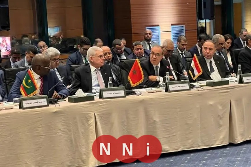 «هام» بدر عبد العاطي يشارك في اجتماع وزراء الخارجية العرب بإسطنبول