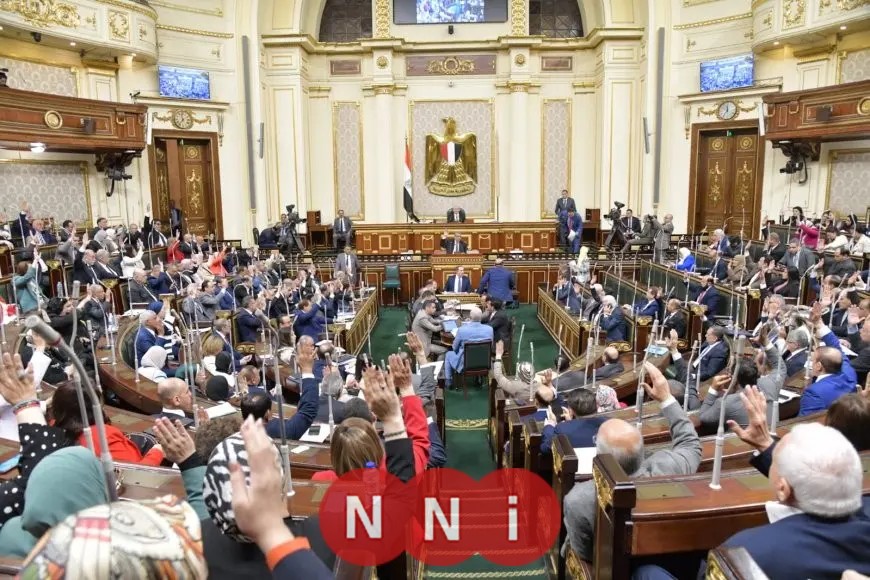 «تعزيزًا لمكانة مصر» نائبة: ثورة 30 يونيو رسخت قوة مصر في مواجهة التحديات الإقليمية