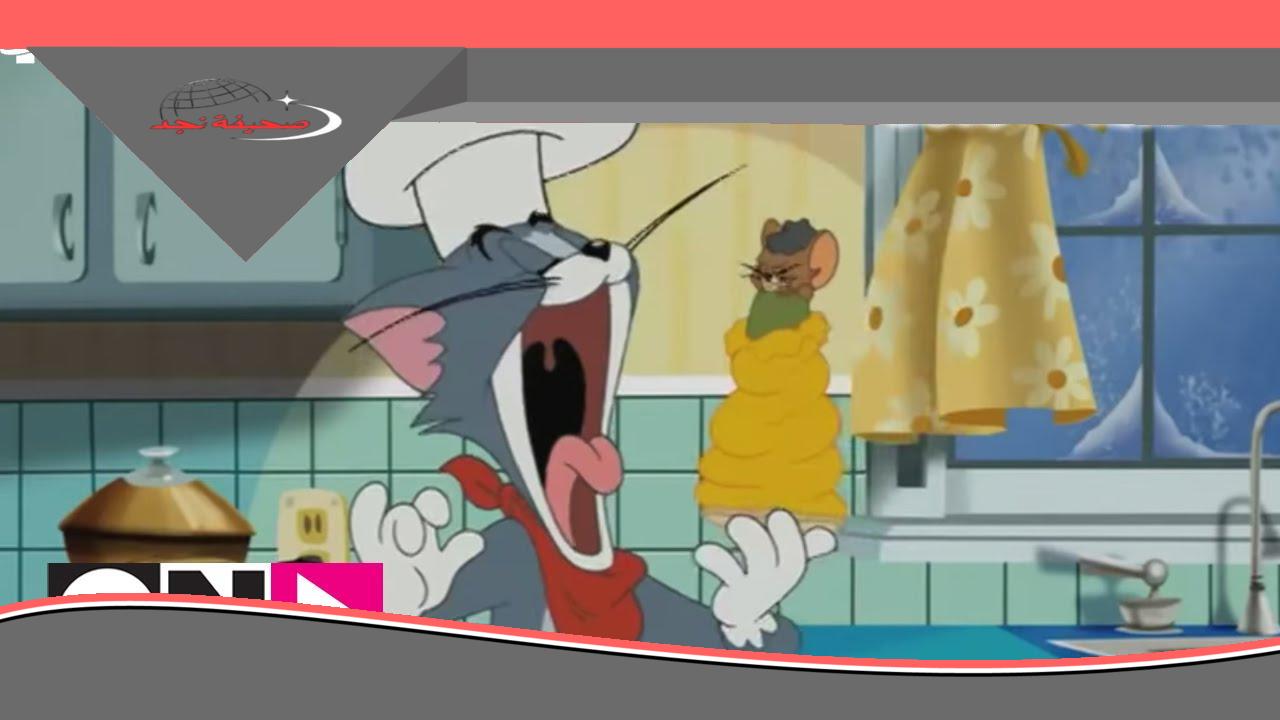 ذكريات الضحك راجعة.. برامج توم وجيري على CN ترجع أيام الطفولة من تاني