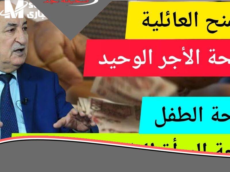 «انطلقي نحو القمة» اصنعي سيدة أعمال.. منحة المرأة الماكثة بالبيت لتمكين المرأة