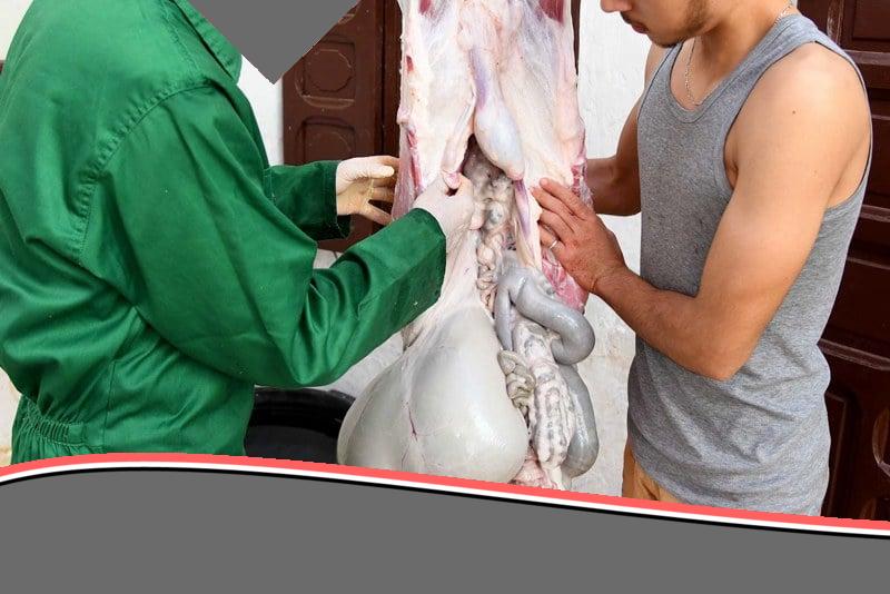 “يا سلام سلم”: مغاربة يلجأون لـ”الوزيعة” لإنقاذ فرحة العيد