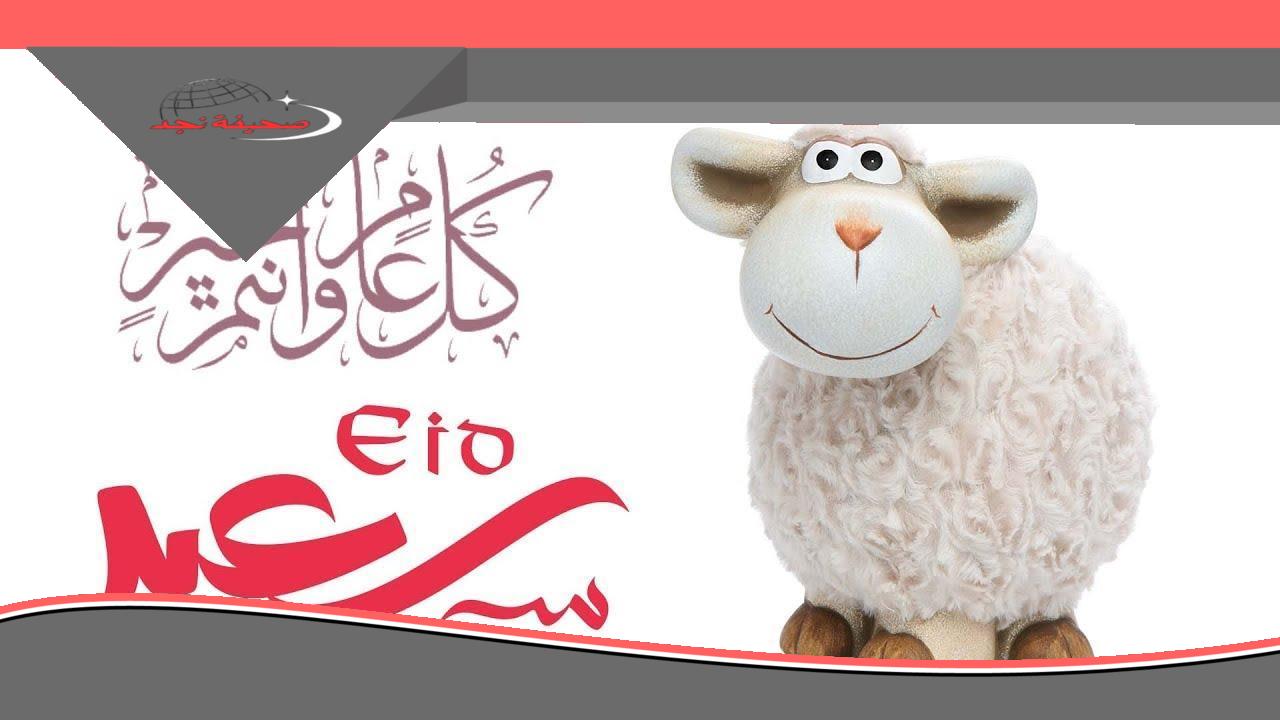 يا فرحة العيد! أخبار تفرح القلب.. بشاير العيد: 5 أيام إجازة رسمية للموظفين (مصر)