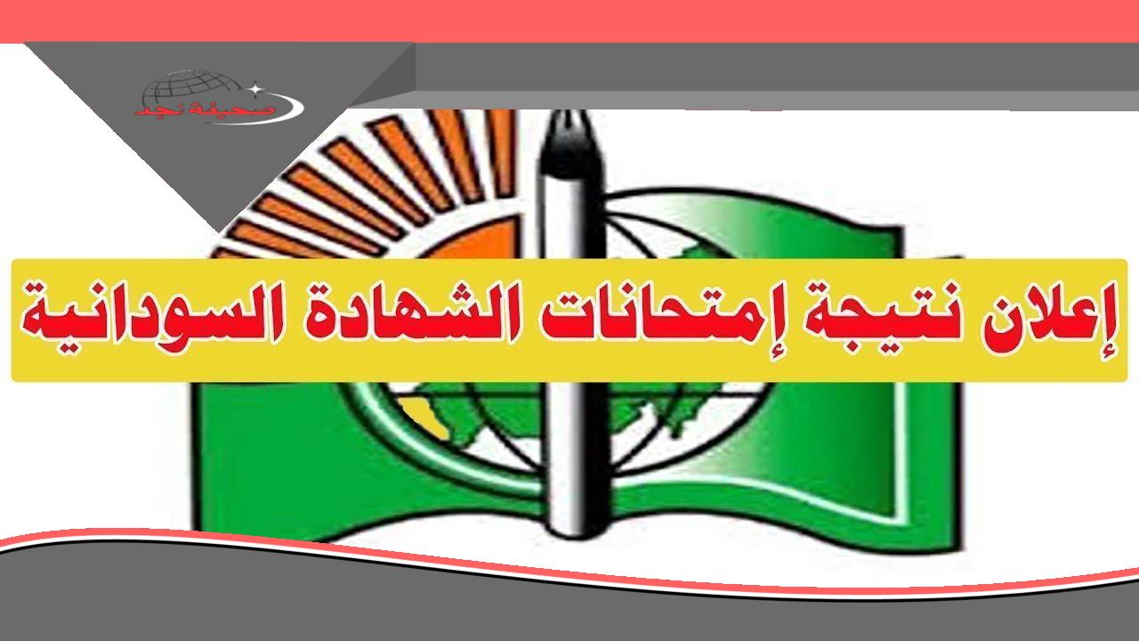 «بضغطة زر هُنا».. استعلم عن نتيجة الشهادة السودانية 2025 عبر موقع وزارة التربية والتعليم.. نتيجة سريعة