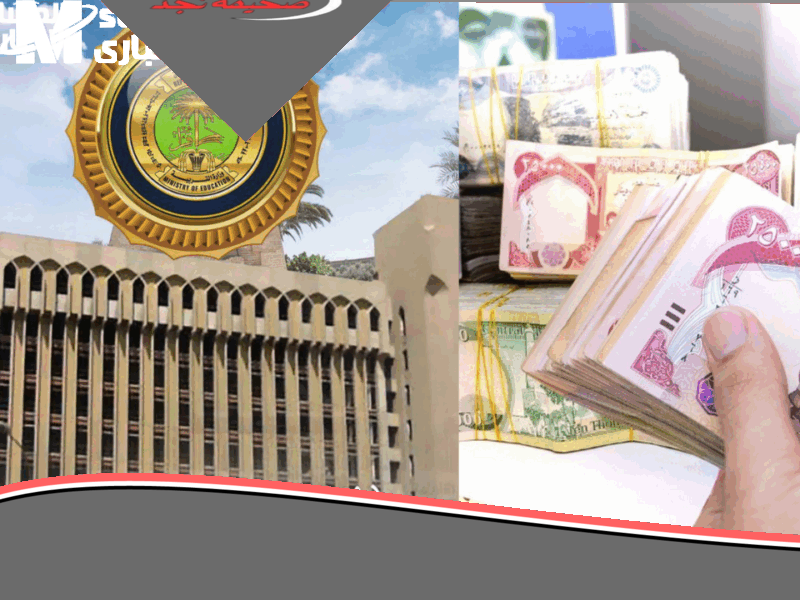 يا ببلاش! دلوقتي تقدر تسجل.. خطوات التسجيل في منحة الطلبة التربية العراقية 8000 دينار