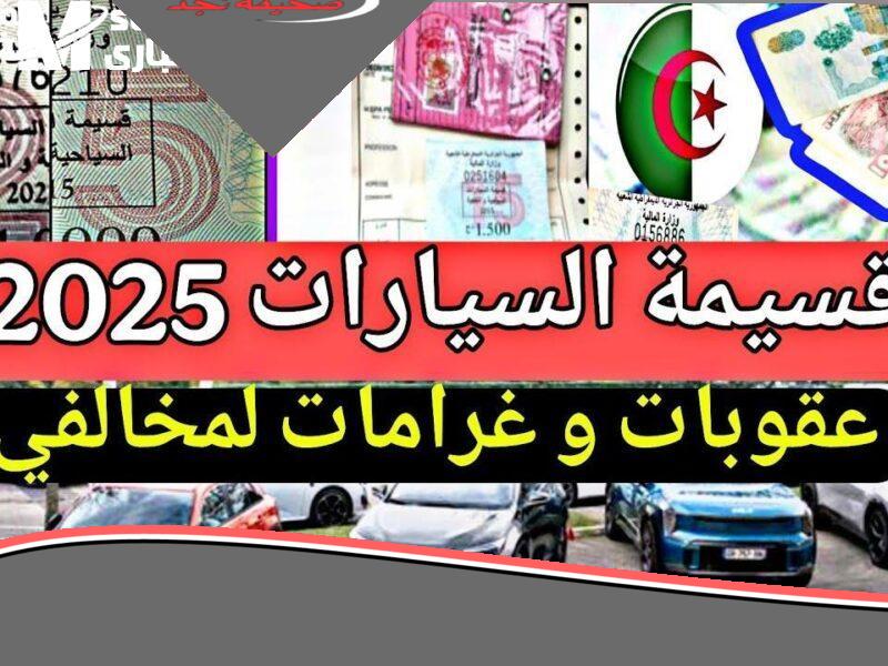 بعد 3 شهور من إطلاقها..رابط منصة قسيمتك qassimatouka mf gov dz ملء استمارة التسجيل في منصة اقتناء قسيمة السيارات الجزائر