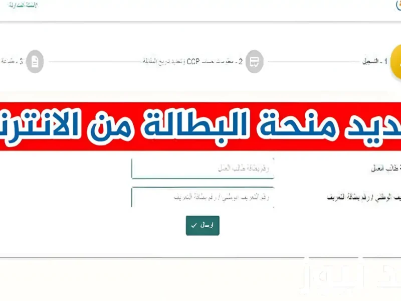 لو كنت بتدور على شغل ومفيش حل.. الحق سجل في منحة البطالة 2025 من الحكومة الجزائرية قبل ما الفرصة تفوتك