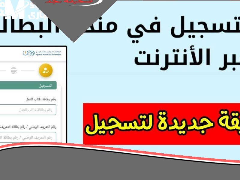 الجميع ينتظرونها.. طريقة التسجيل في منحة البطالة الجزائرية بخطوات بسيطة بلا عناء