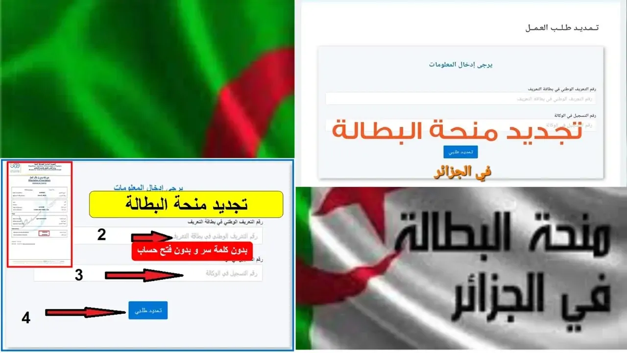 فرصتك الحقيقية جات دلوقتي.. منحة البطالة 2025 هتغير حياتك وتفتحلك أبواب رزق جديدة من غير تعب