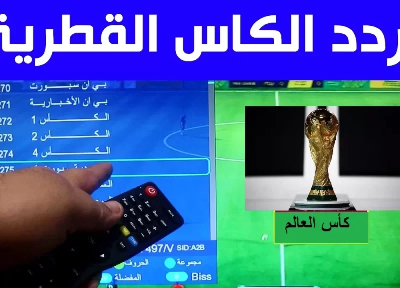 «استمتع بأجواء الملاعب» تردد قناة الكأس HD 6 الرياضية لمشاهدة مباريات كرة القدم بجودة فائقة وبدون اشتراك