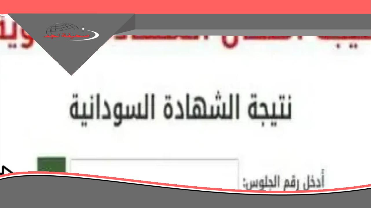 نتيجتك جاهزة أهو.. الاستعلام عن الشهادة السودانية 2025 بسرعة وراحة
