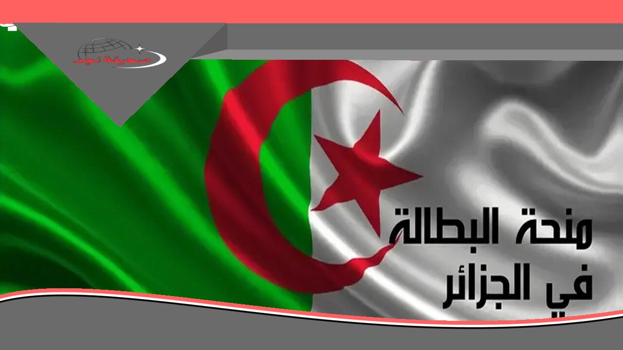 منحة البطالة 2025 في الجزائر: “فرحة البطالة دي” هتسلكها.. دعم يسندك في الأوقات الصعبة!