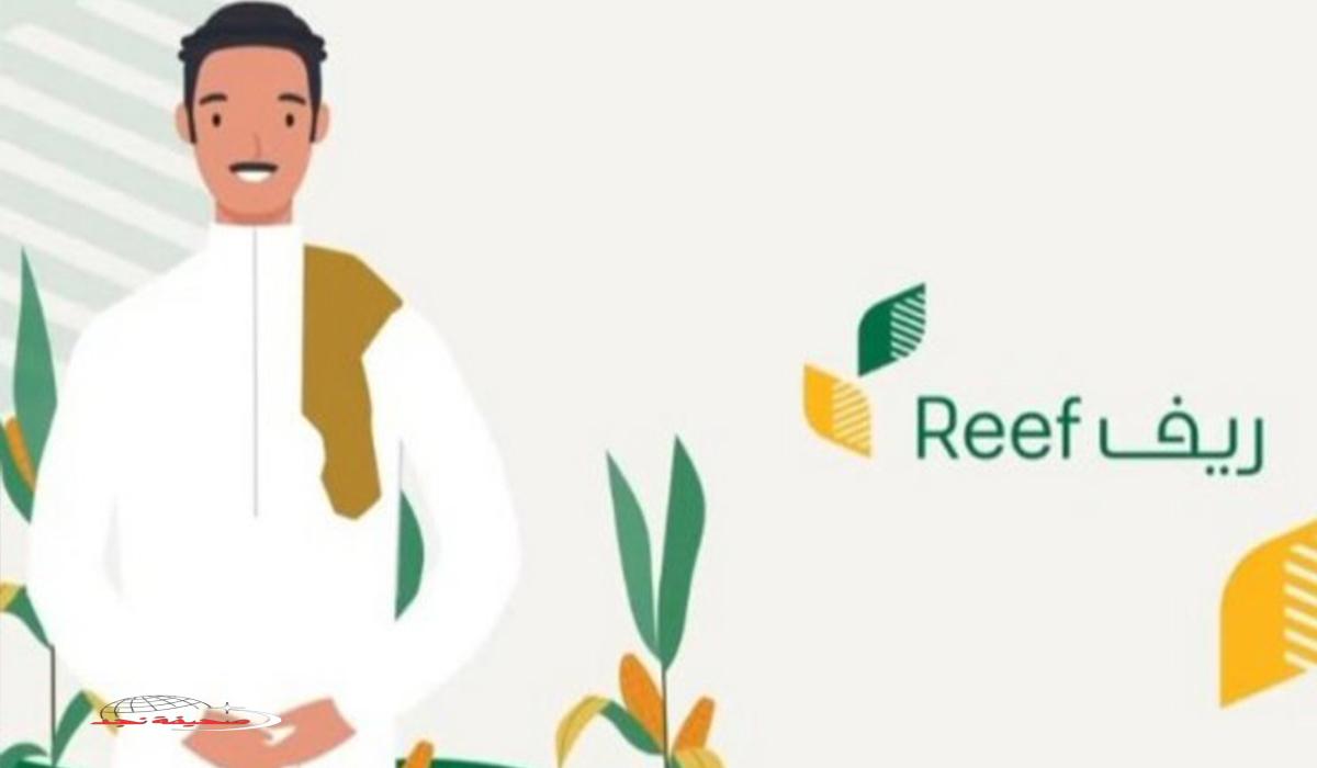«فرصة ذهبية» رابط التسجيل في دعم ريف: الشروط والمتطلبات للرجال والسيدات