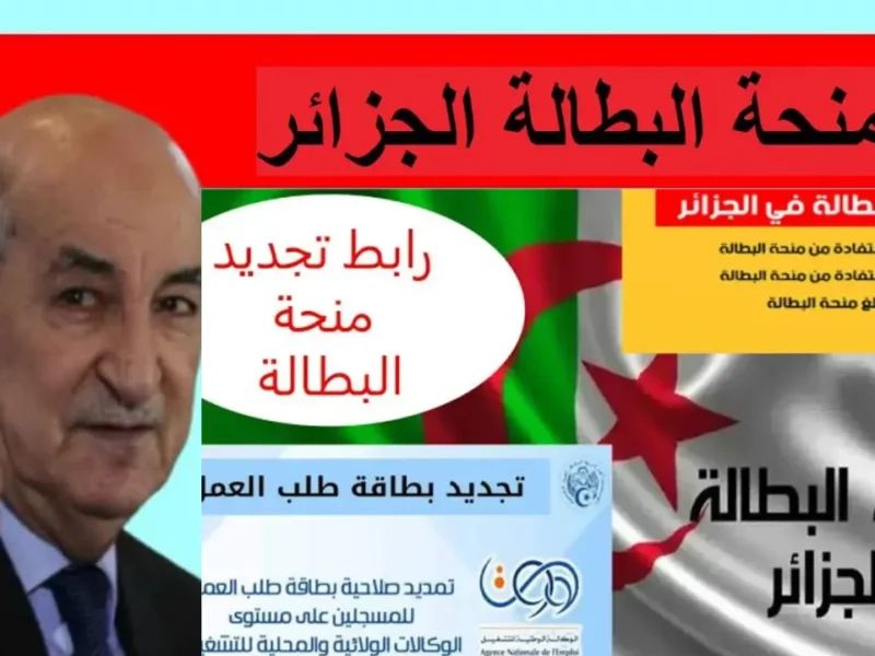 «لا تدع الدعم يتوقف!» بطالتك مستمرة؟ خطوات تجديد منحة البطالة الجزائر 2025 بسهولة