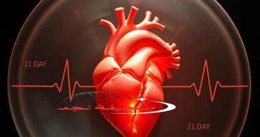 «سابقة تاريخية!» زراعة قلب بشرى في جنين خنزير: إنجاز علمي مذهل