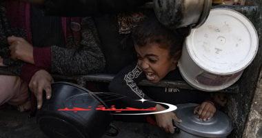 «صرخة من القلب» عشائر فلسطين: وقف فوري للعدوان على غزة.. ومصر المحور