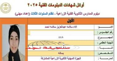 «تهانينا للمتفوقين!» بالأسماء والمجموع.. قائمة أوائل الدبلومات الفنية على مستوى الجمهورية 2025