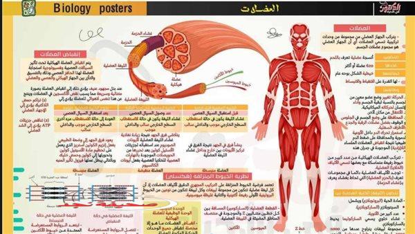 «ليلة فاصلة؟» مراجعة شاملة في الأحياء لطلاب الثانوية العامة