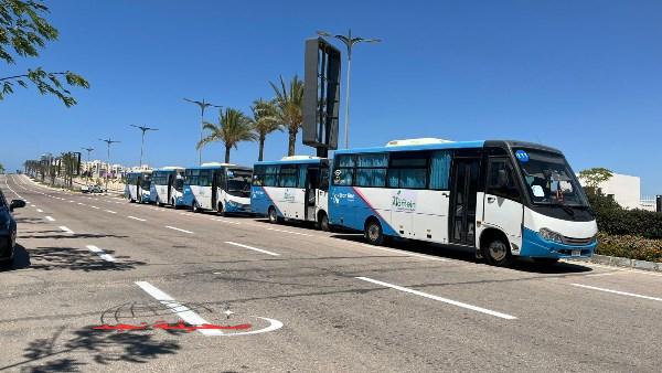 «بشرى سارة!» جهاز العلمين الجديدة يبدأ التشغيل التجريبي لخطوط النقل الحضري بالمدينة