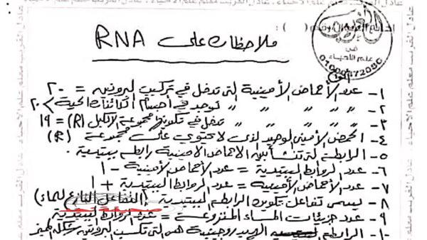 «استعد لتفوقك الأكاديمي!»: دليل شامل للنجاح في امتحانات الثانوية العامة 2025