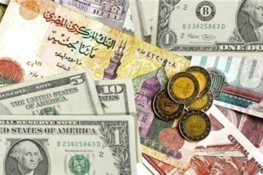 «اكتشف الآن» أسعار العملات في السوق الموازية في مصر اليوم الخميس 11 يوليو 2024