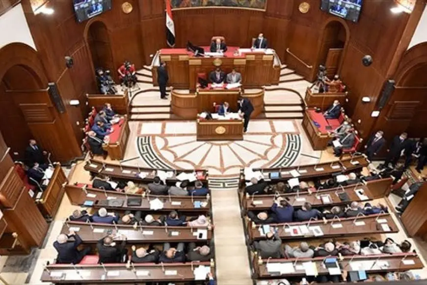 «شراكة استراتيجية راسخة» مجلس الشيوخ يثمن قوة العلاقات بين مصر وفيتنام