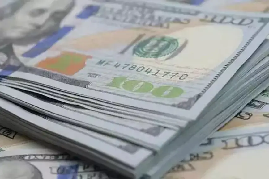 «تحليل حصري» فيتش سوليوشنز تتوقع سعر صرف الدولار بين 50 و 55 جنيها بحلول 2025: ما الأسباب؟