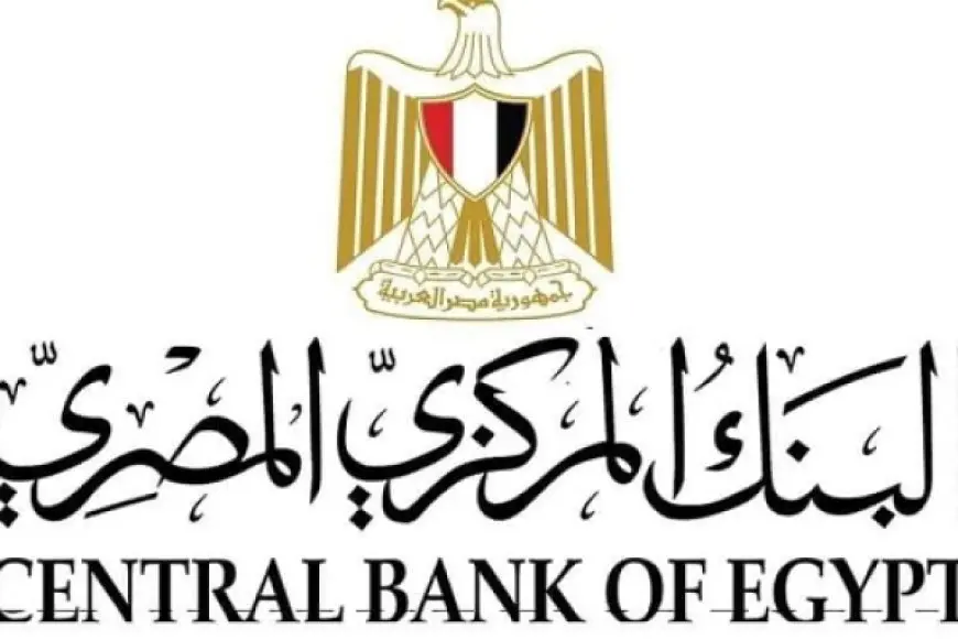 «دفعة قوية للاقتصاد» المركزي المصري: 23.7 مليار دولار تحويلات المصريين بالخارج (يناير-أكتوبر 2024)
