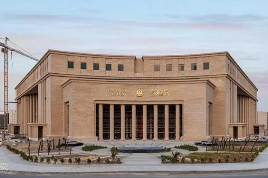 «نافذة أمل للاقتصاد المصري» 23.7 مليار دولار: تحويلات المصريين بالخارج تتجاوز التوقعات في أكتوبر 2024