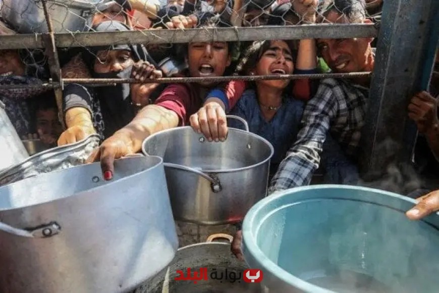 «غزة تنزف ألمًا» الأوضاع الإنسانية في غزة: تدهور كارثي ومستمر
