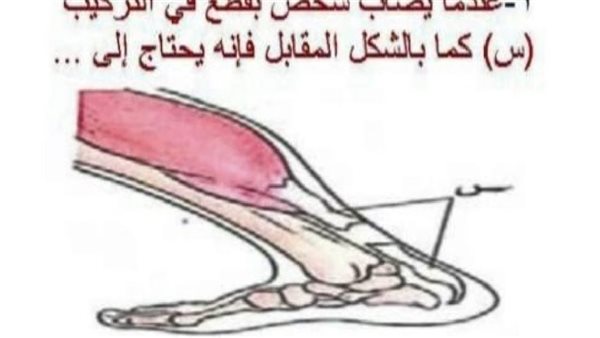 مراجعة ليلة امتحان الاحياء الثانوية العامة