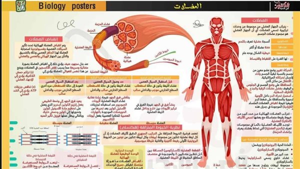 مراجعة ليلة امتحان الاحياء الثانوية العامة