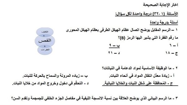 الثانوية العامة 2025
