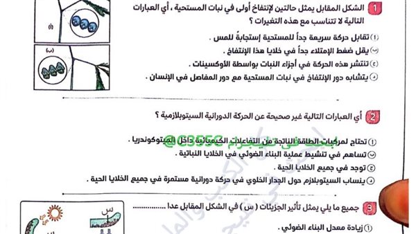 الثانوية العامة 2025