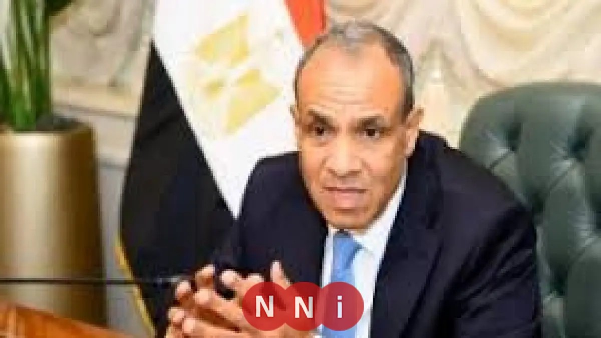 وزير الخارجية ي reaffirm استمرار مصر في مساعيها المستمرة لوقف إطلاق النار في غزة