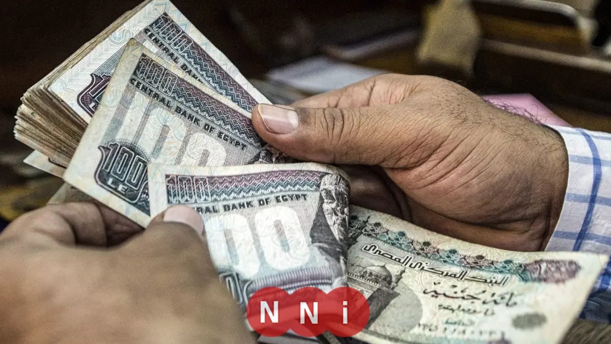 قبل اجتماع المركزي.. أعلى عوائد حسابات التوفير في مصر 2025