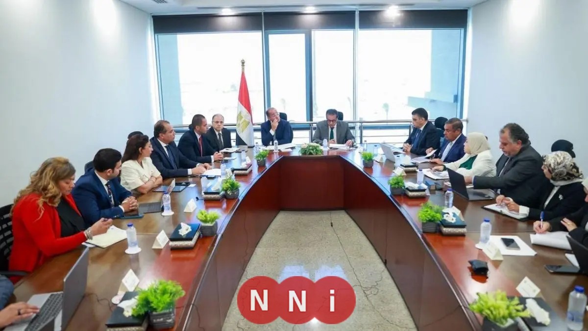 وزير الخارجية: قطاع الأدوية يعد من الأسس التعاون المصري مع الدول الأفريقية