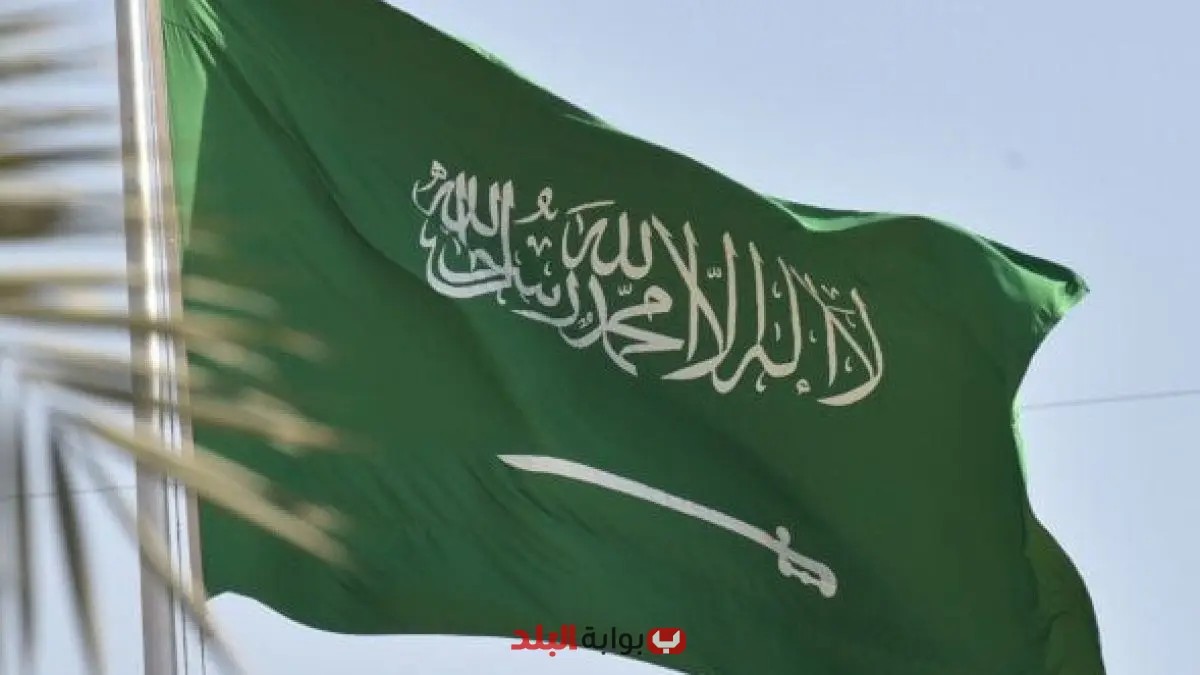 السعودية وتشاد تبحثان سبل تعزيز التعاون المشترك عبر الهاتف