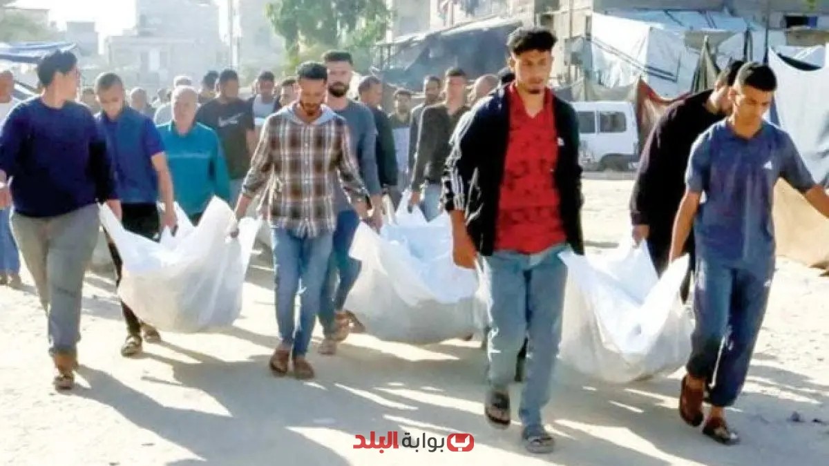 دعوة بوريل لاتخاذ إجراءات قانونية ضد صمت مؤسسات الاتحاد الأوروبي حول مجازر غزة