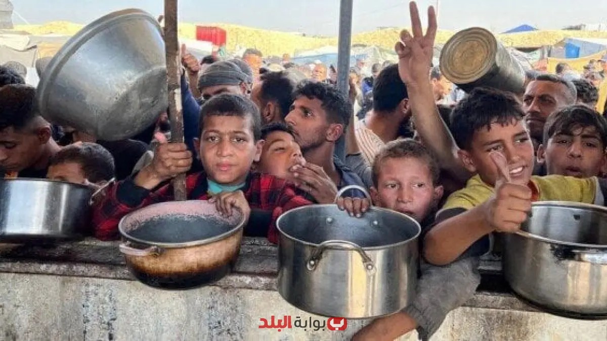 الرئيس الفنلندي يُعلن عن كارثة إنسانية في قطاع غزة تعكس فشل المجتمع الدولي