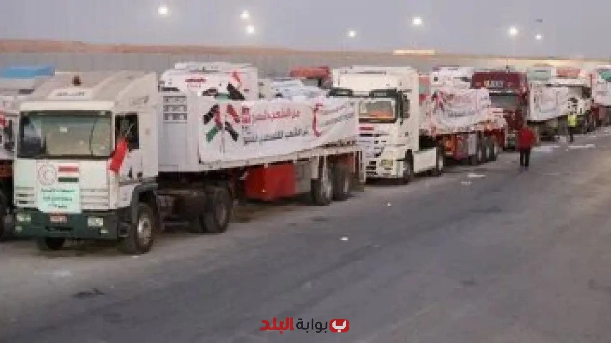 دخول 134 شاحنة مساعدات إنسانية إلى قطاع غزة عبر ميناء رفح البري