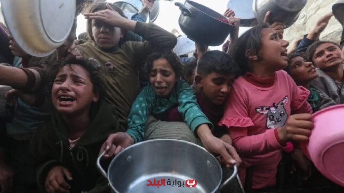 ميد جلوبال تحذر من المجاعة في غزة والأطفال ضحايا سوء التغذية