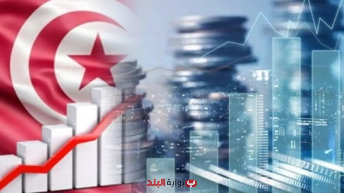تونس تسعى لجذب 4 مليارات دينار من الاستثمارات الخارجية سنوياً حتى عام 2030