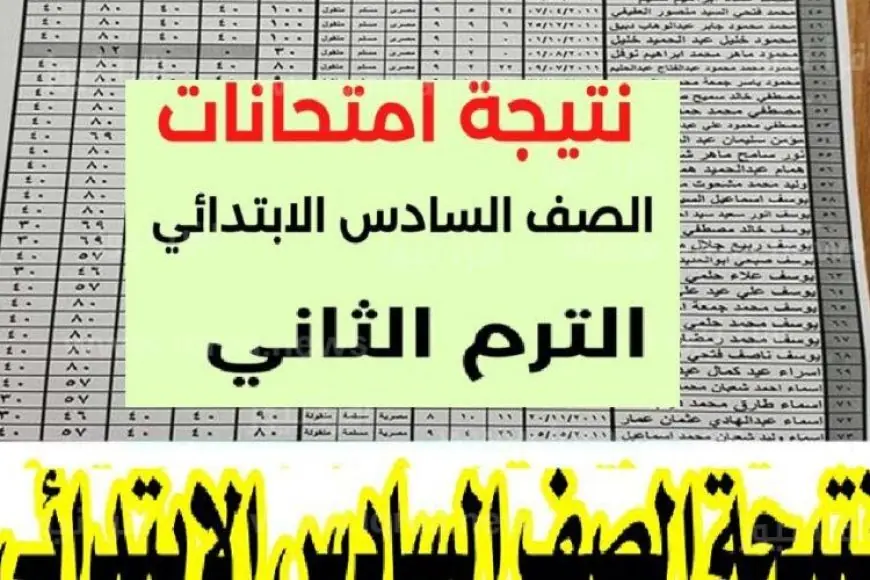 نتيجة الصف السادس الابتدائي بالرقم القومي الترم الثاني 2024 محافظة الجيزة موقع مديرية التربية والتعليم
