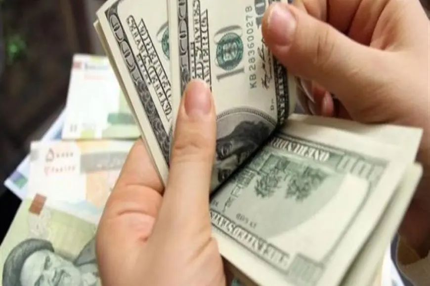 هل سعر الدولار الحالي مقابل الجنيه عادل ومرن؟ خبير اقتصادي يوضح