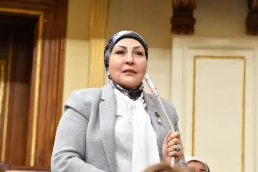 النائبة هالة أبو السعد: حكم الدستورية العليا بشأن قانون الإيجار القديم يهدف إلى إعادة التوازن بين المالك والمستأجر