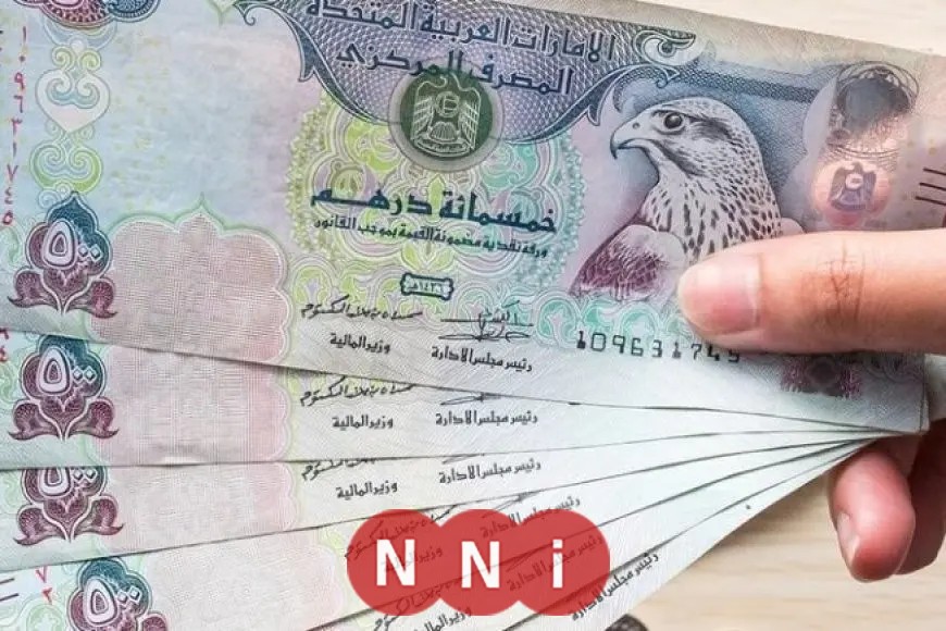 سعر الدرهم الإماراتي مقابل الجنيه اليوم الأحد في 6 بنوك